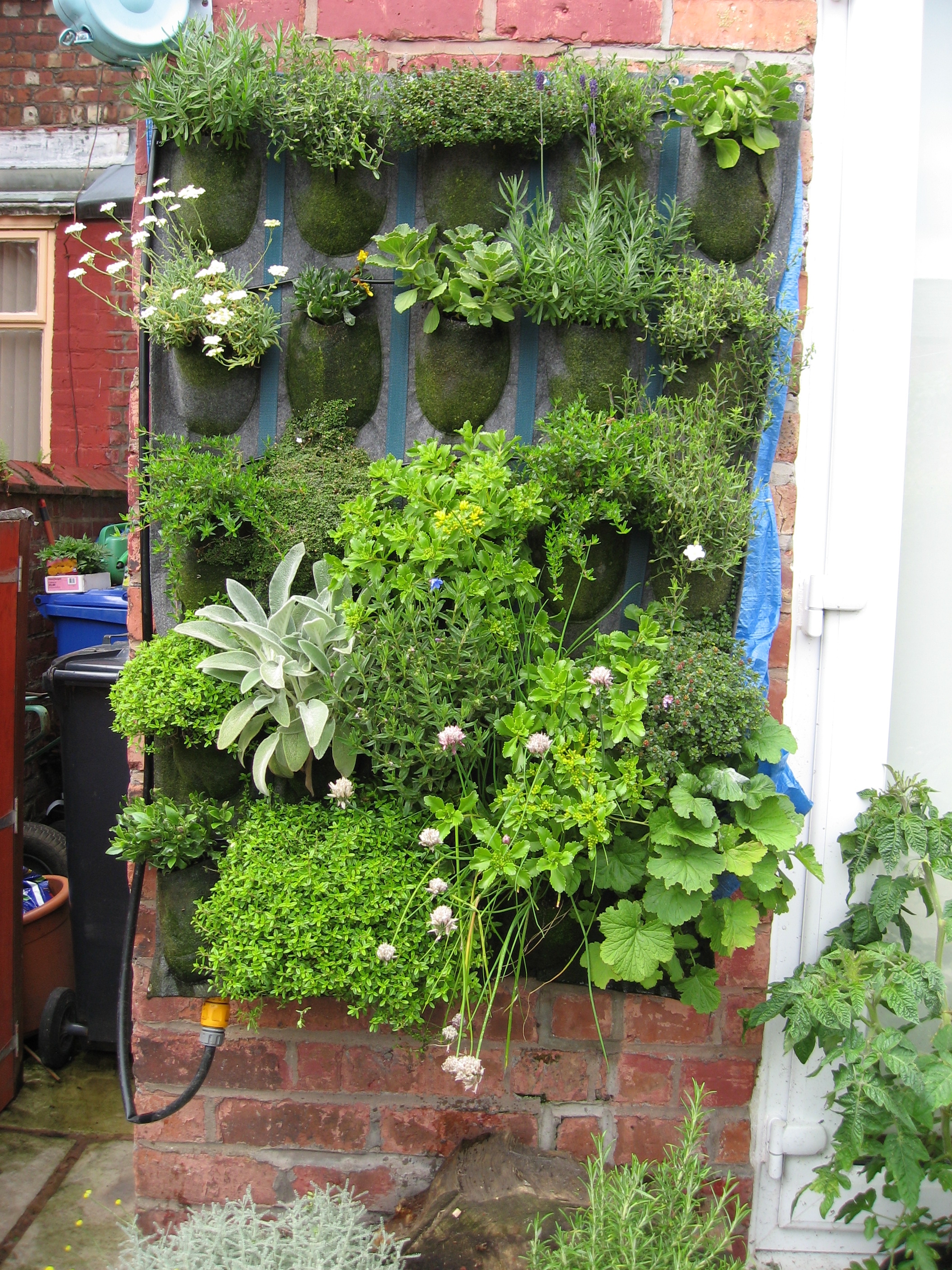 vertikale Gärten vertical Gardens Generation