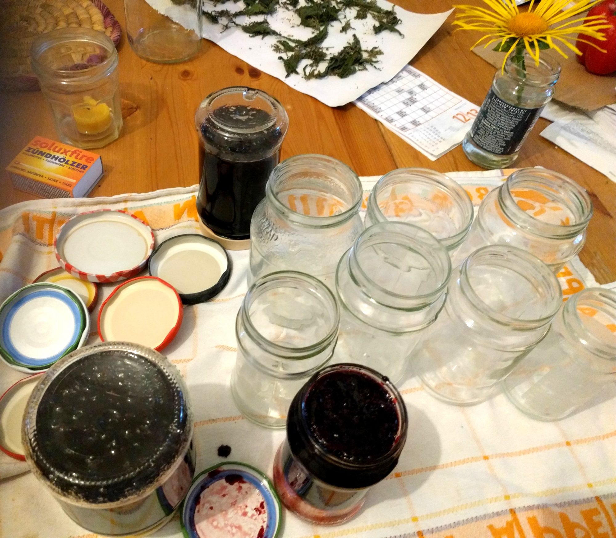 Marmelade machen MarmeladenGläser Sterilisieren abkochen Jam jars to Sterilize boil